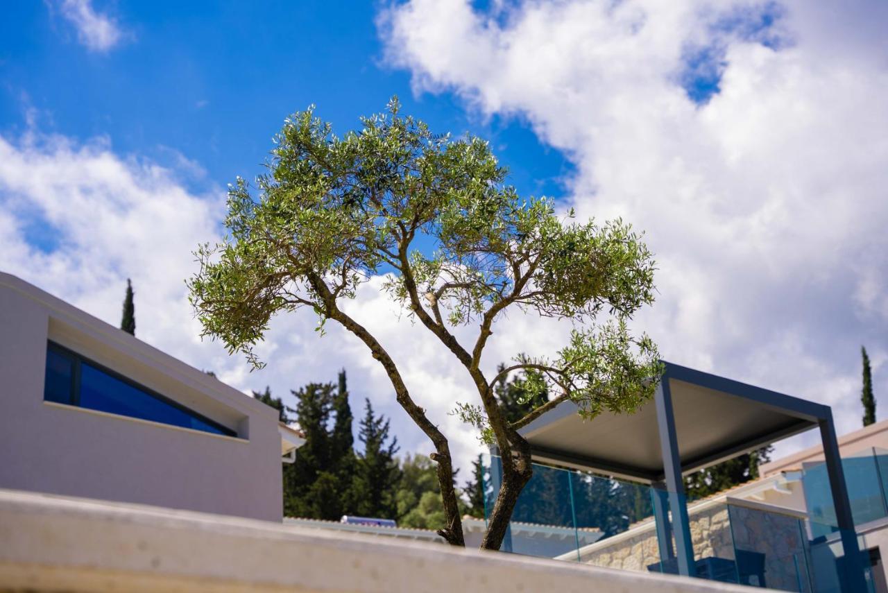 Dama Olga Villas Lygia (Lefkada) Exterior foto